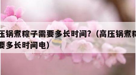 高压锅煮粽子需要多长时间?（高压锅煮粽子需要多长时间电）