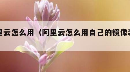 阿里云怎么用（阿里云怎么用自己的镜像装系统）