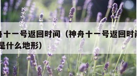 神舟十一号返回时间（神舟十一号返回时间地点,是什么地形）