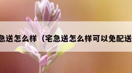 宅急送怎么样（宅急送怎么样可以免配送费）