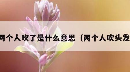 两个人吹了是什么意思（两个人吹头发）