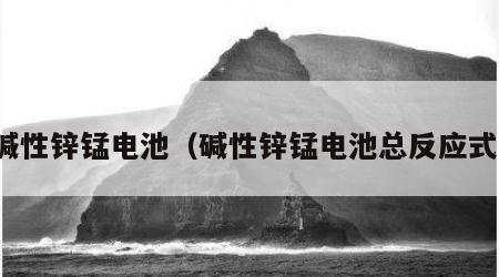 碱性锌锰电池（碱性锌锰电池总反应式）