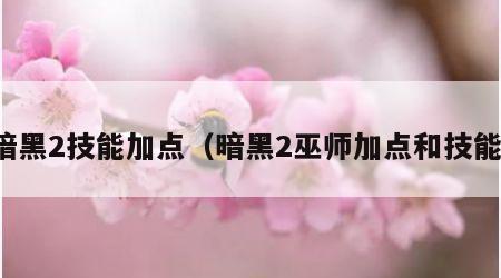 暗黑2技能加点（暗黑2巫师加点和技能）