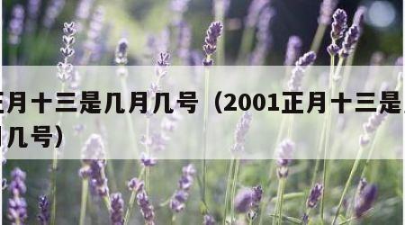 正月十三是几月几号（2001正月十三是几月几号）