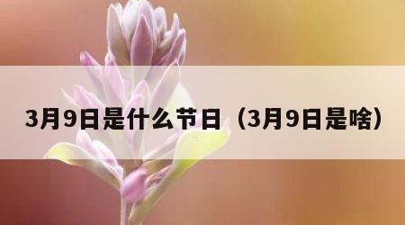 3月9日是什么节日（3月9日是啥）