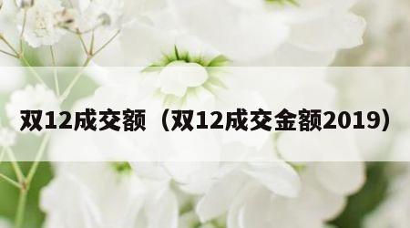 双12成交额（双12成交金额2019）