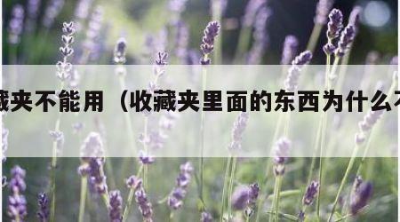 收藏夹不能用（收藏夹里面的东西为什么不见了）