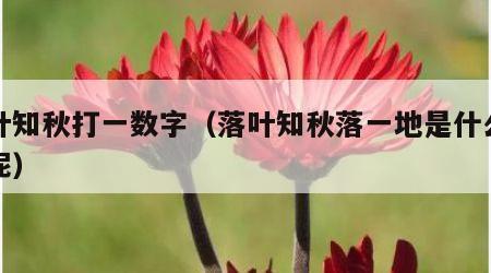 落叶知秋打一数字（落叶知秋落一地是什么生肖呢）