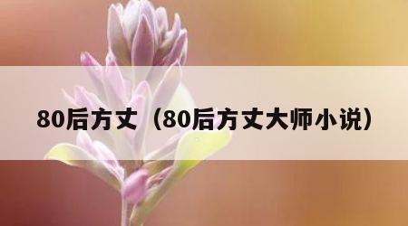 80后方丈（80后方丈大师小说）