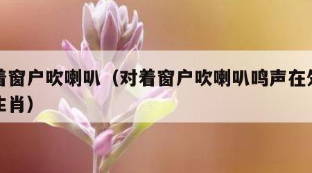 对着窗户吹喇叭（对着窗户吹喇叭鸣声在外什么生肖）