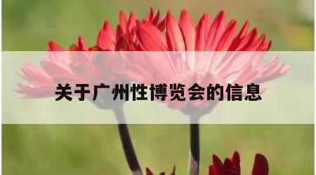 关于广州性博览会的信息