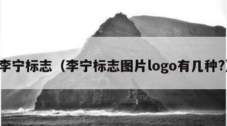 李宁标志（李宁标志图片logo有几种?）