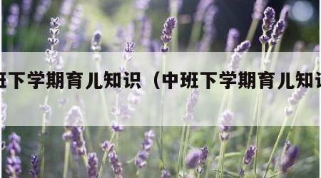 中班下学期育儿知识（中班下学期育儿知识教案）