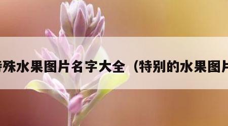 特殊水果图片名字大全（特别的水果图片）