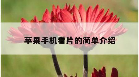 苹果手机看片的简单介绍