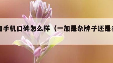 一加手机口碑怎么样（一加是杂牌子还是名牌）