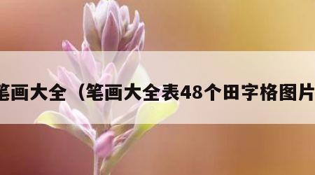 笔画大全（笔画大全表48个田字格图片）