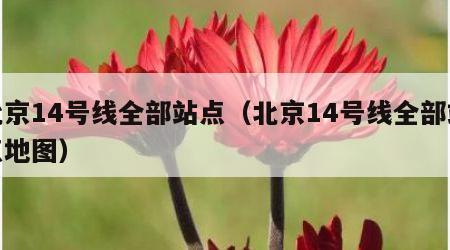 北京14号线全部站点（北京14号线全部站点地图）