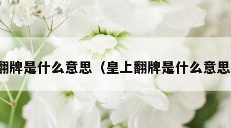 翻牌是什么意思（皇上翻牌是什么意思）