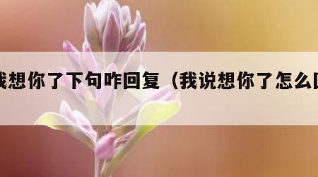 说我想你了下句咋回复（我说想你了怎么回复）