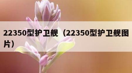 22350型护卫舰（22350型护卫舰图片）