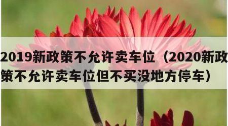 2019新政策不允许卖车位（2020新政策不允许卖车位但不买没地方停车）