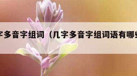 几字多音字组词（几字多音字组词语有哪些呢）