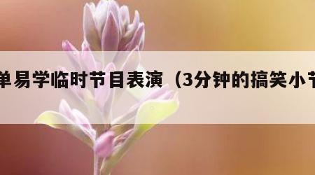 简单易学临时节目表演（3分钟的搞笑小节目）