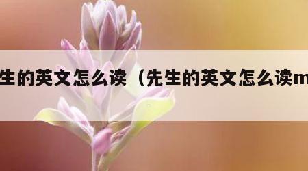 先生的英文怎么读（先生的英文怎么读mrs）