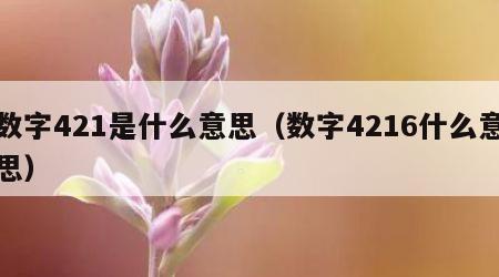 数字421是什么意思（数字4216什么意思）