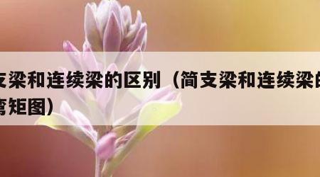 简支梁和连续梁的区别（简支梁和连续梁的区别弯矩图）