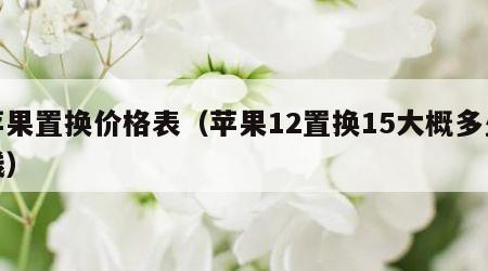 苹果置换价格表（苹果12置换15大概多少钱）