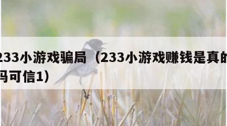 233小游戏骗局（233小游戏赚钱是真的吗可信1）