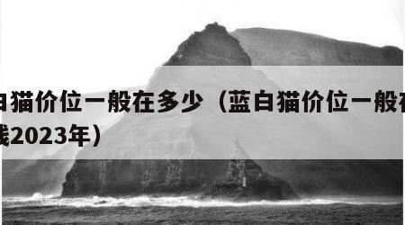 蓝白猫价位一般在多少（蓝白猫价位一般在多少钱2023年）