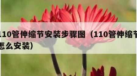 110管伸缩节安装步骤图（110管伸缩节怎么安装）