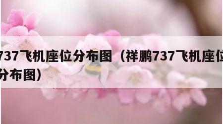 737飞机座位分布图（祥鹏737飞机座位分布图）