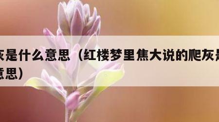 爬灰是什么意思（红楼梦里焦大说的爬灰是什么意思）