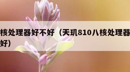 八核处理器好不好（天玑810八核处理器好不好）