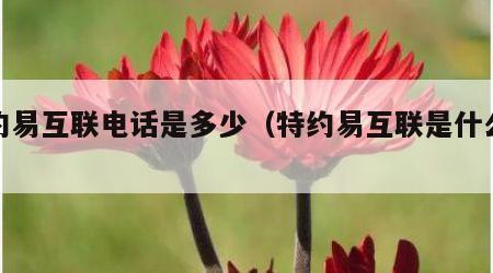 特约易互联电话是多少（特约易互联是什么意思）