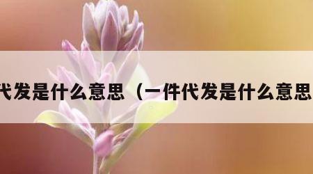 代发是什么意思（一件代发是什么意思）