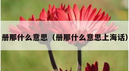 册那什么意思（册那什么意思上海话）