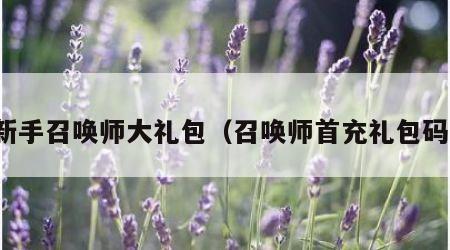 新手召唤师大礼包（召唤师首充礼包码）