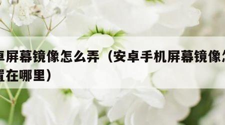 安卓屏幕镜像怎么弄（安卓手机屏幕镜像怎么设置在哪里）