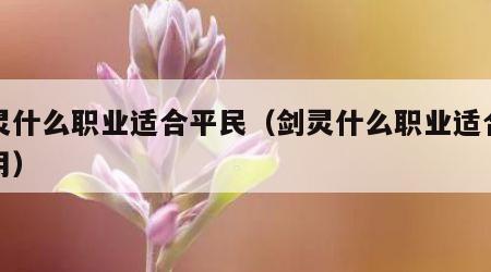 剑灵什么职业适合平民（剑灵什么职业适合平民用）