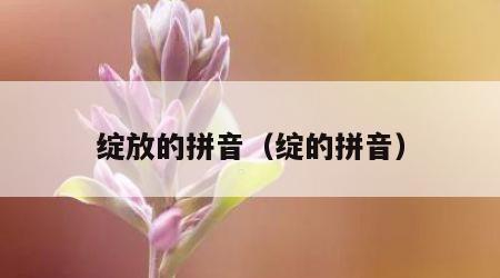 绽放的拼音（绽的拼音）