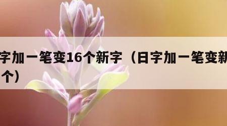 日字加一笔变16个新字（日字加一笔变新字19个）