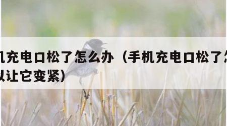 手机充电口松了怎么办（手机充电口松了怎么可以让它变紧）