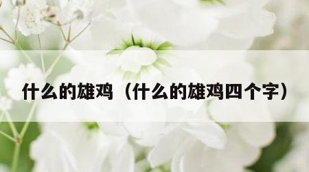 什么的雄鸡（什么的雄鸡四个字）