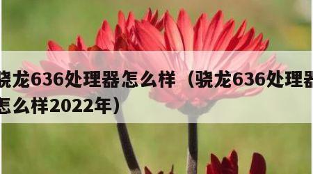 骁龙636处理器怎么样（骁龙636处理器怎么样2022年）