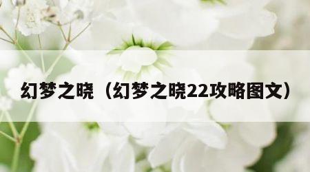 幻梦之晓（幻梦之晓22攻略图文）